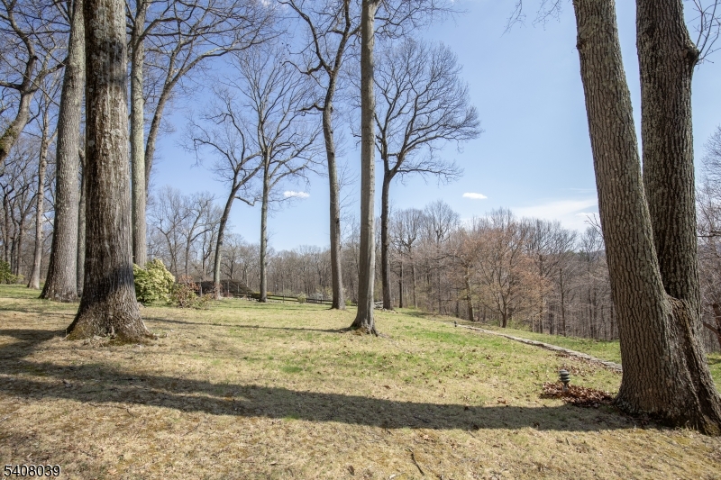 235 Mountainside Road Mendham, NJ 07945 - Photo 46 of 47 a view of a backyard with large tree
