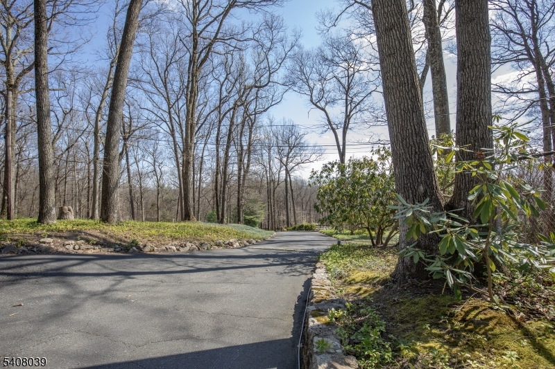 235 Mountainside Road Mendham, NJ 07945 - Photo 47 of 47 a view of a yard with large trees