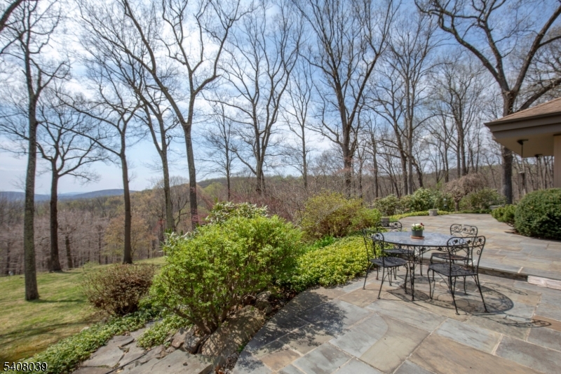 235 Mountainside Road Mendham, NJ 07945 - Photo 7 of 47 a view of a chairs and table in the backyard