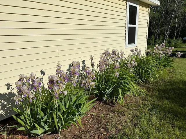 $235,000 | 1662 County 7 Northeast, Longville, MN 56655