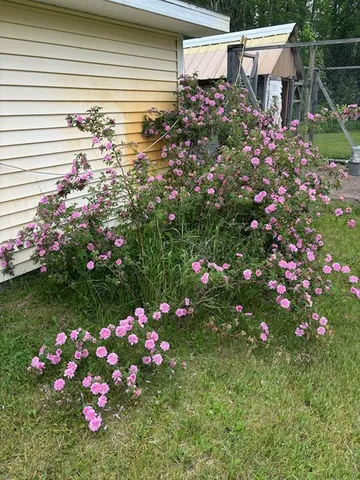 $235,000 | 1662 County 7 Northeast, Longville, MN 56655