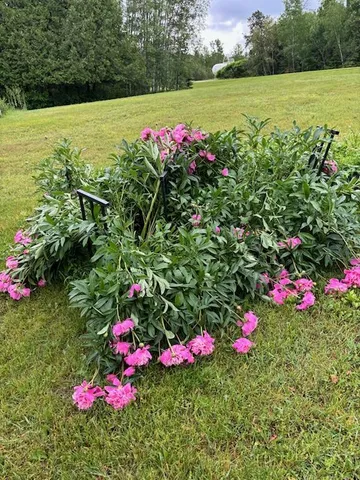 $235,000 | 1662 County 7 Northeast, Longville, MN 56655