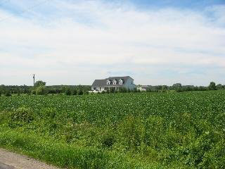 12562 Todd Road Ida, MI 48140 - Photo 23 of 23 818345-23.JPG