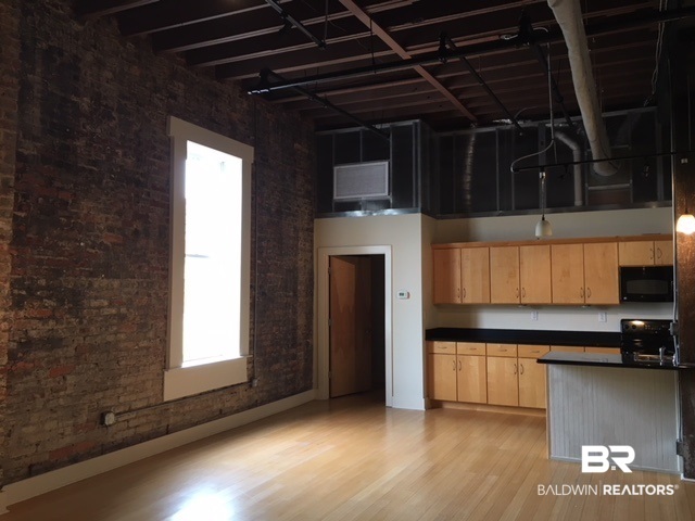 412 Dauphin Street, Unit P Mobile, AL 36602 - Photo 14 of 15