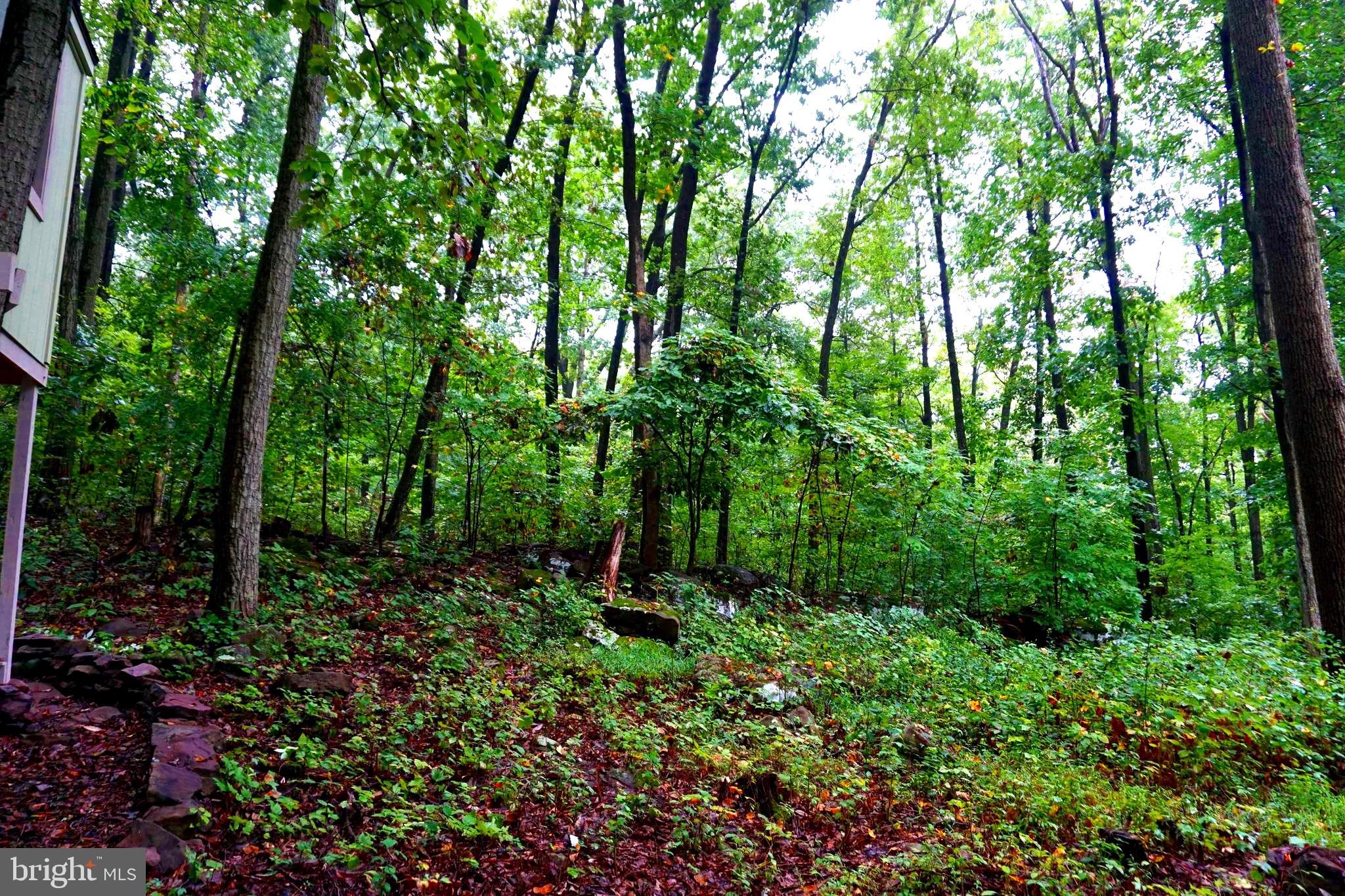 5661 Fish And Game Road Dover, PA 17315 - Photo 15 of 53