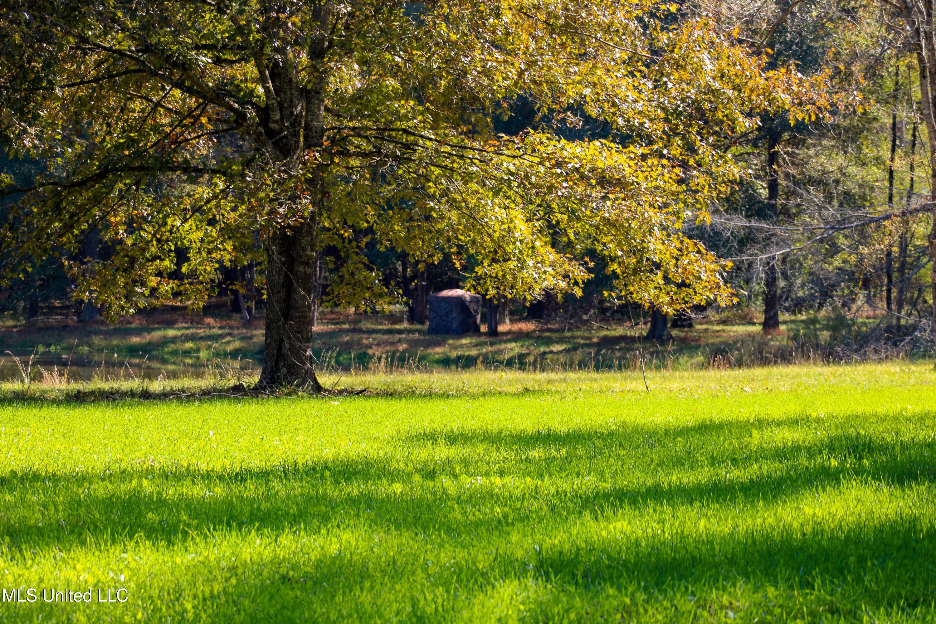 636 Livingston Vernon Road Flora, MS 39071 - Photo 13 of 27 IMG_0747-2