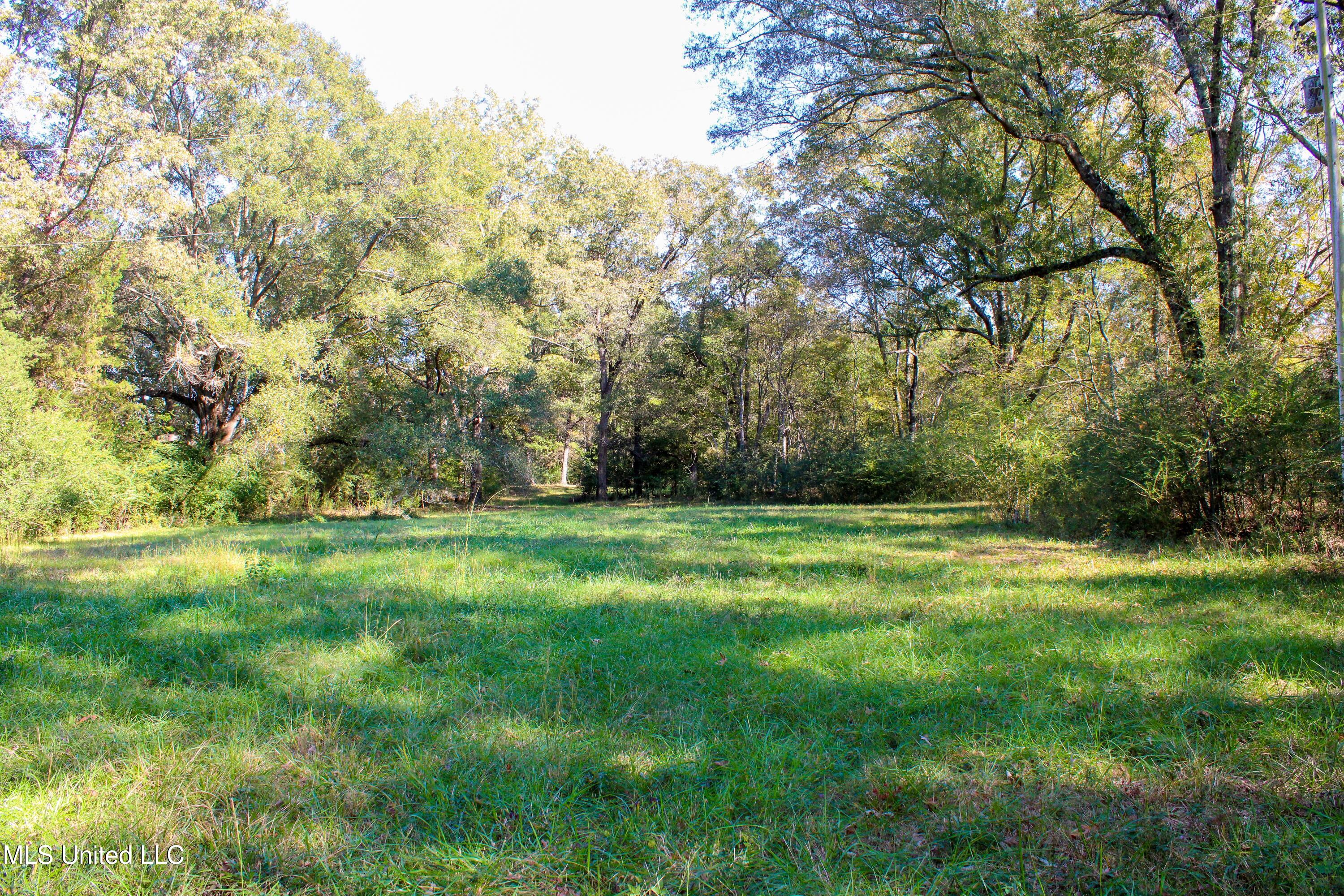 636 Livingston Vernon Road Flora, MS 39071 - Photo 15 of 27 IMG_0801-2