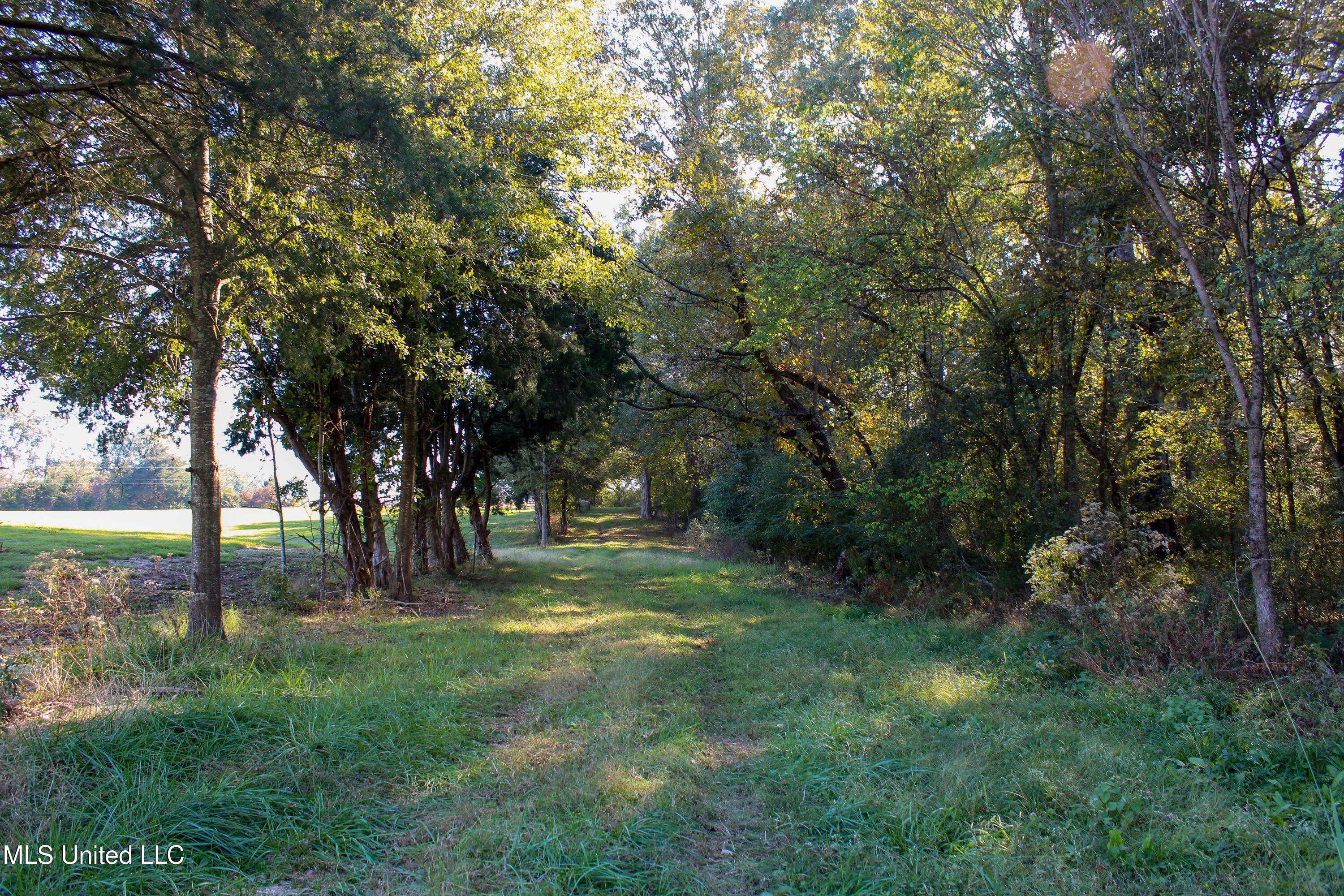 636 Livingston Vernon Road Flora, MS 39071 - Photo 17 of 27 IMG_0839-2