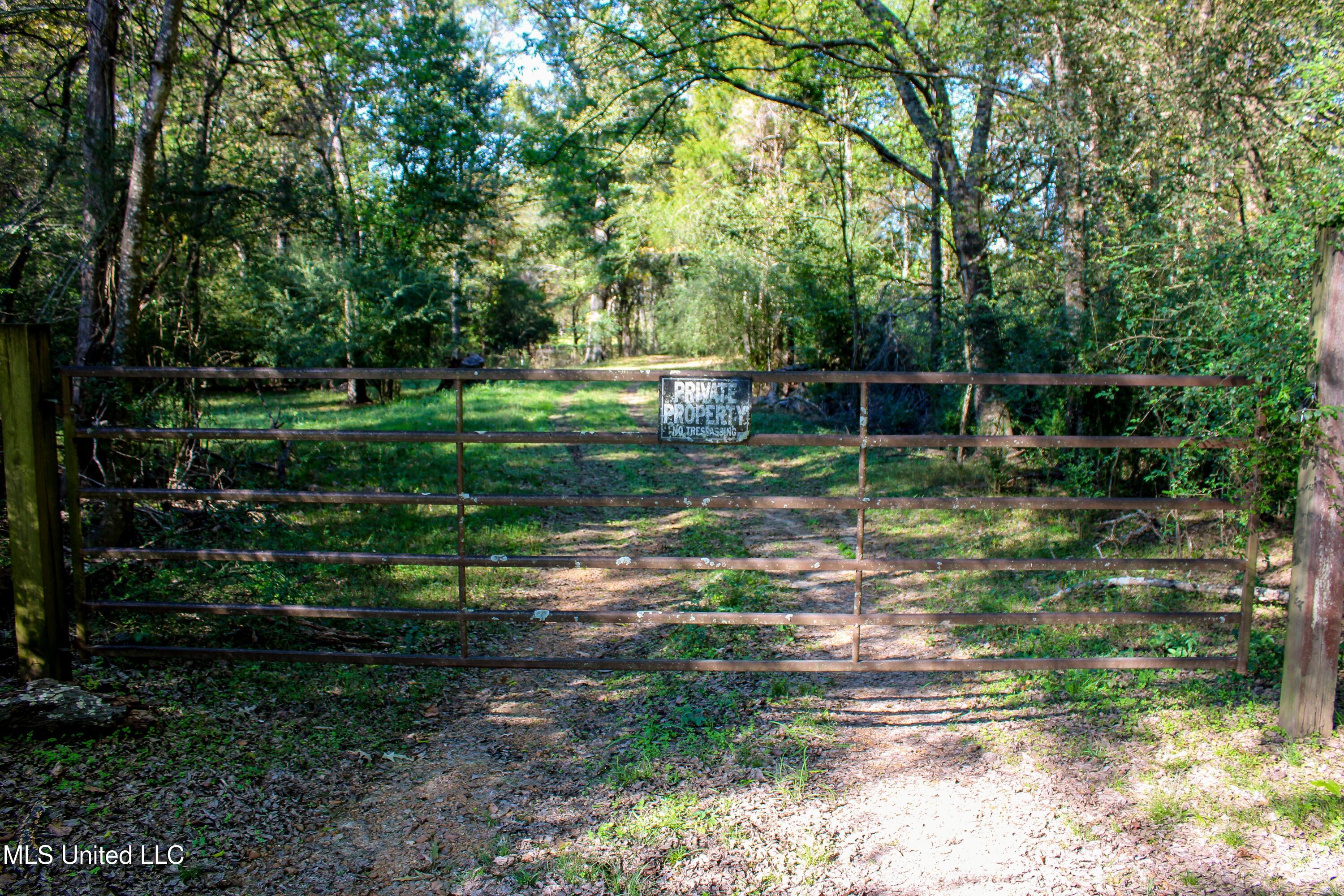 636 Livingston Vernon Road Flora, MS 39071 - Photo 2 of 27 IMG_0796-2