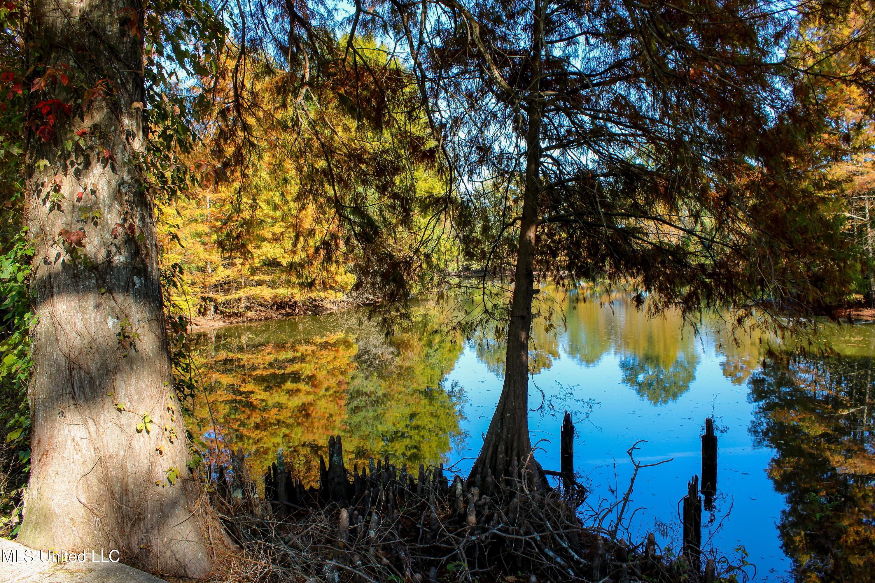 636 Livingston Vernon Road Flora, MS 39071 - Photo 22 of 27 IMG_0823-2