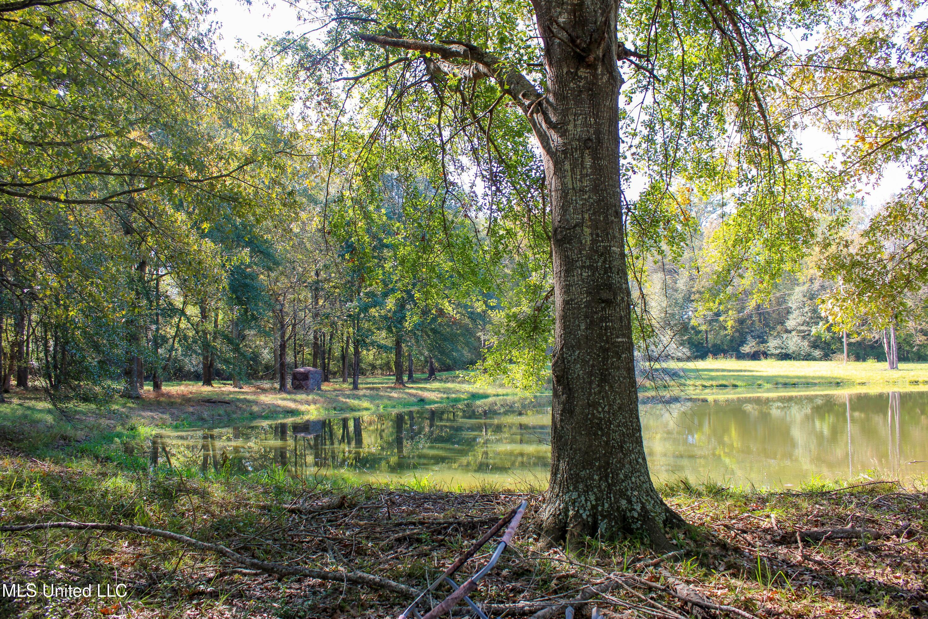 636 Livingston Vernon Road Flora, MS 39071 - Photo 4 of 27 IMG_0772-2
