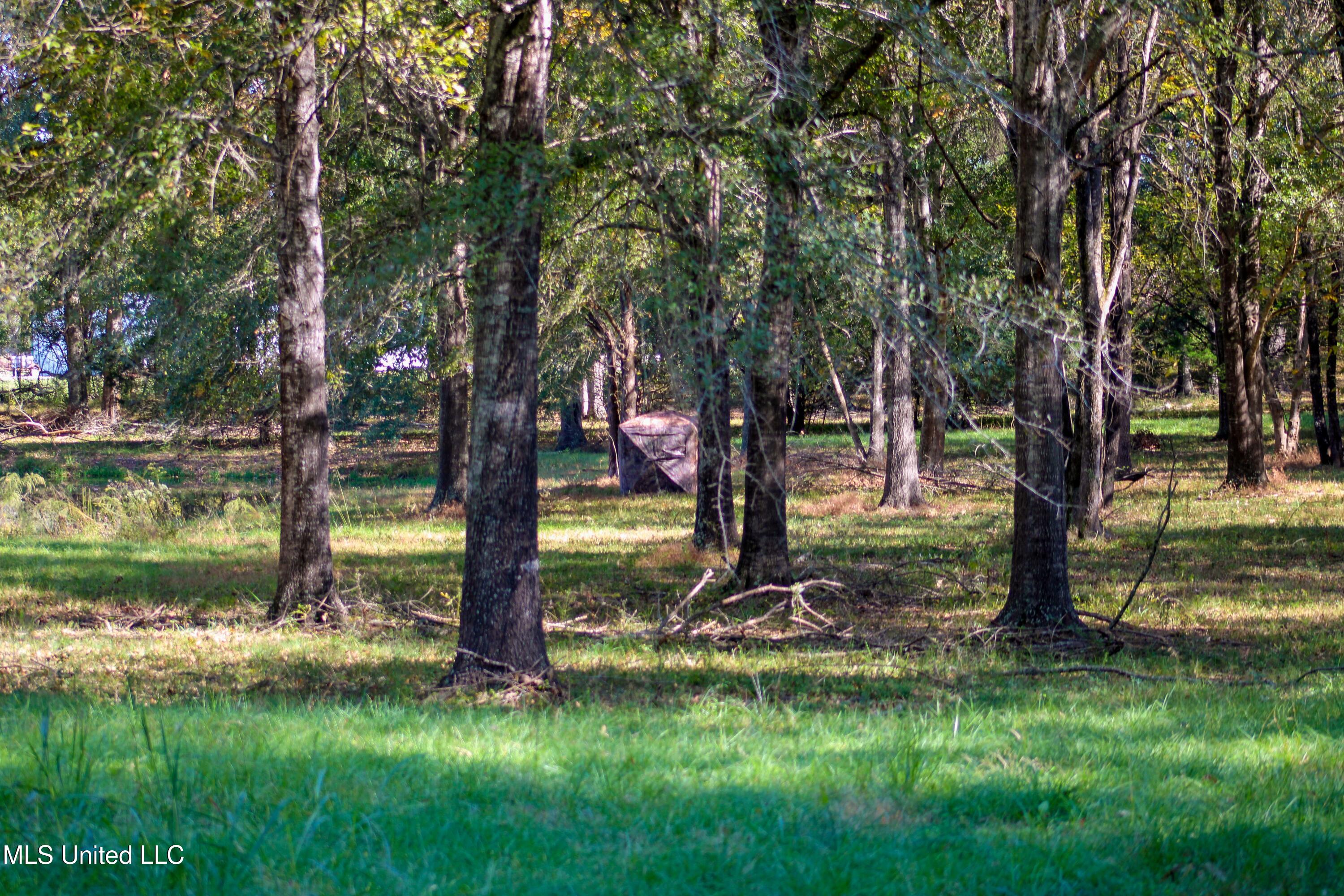636 Livingston Vernon Road Flora, MS 39071 - Photo 8 of 27 IMG_0737-2