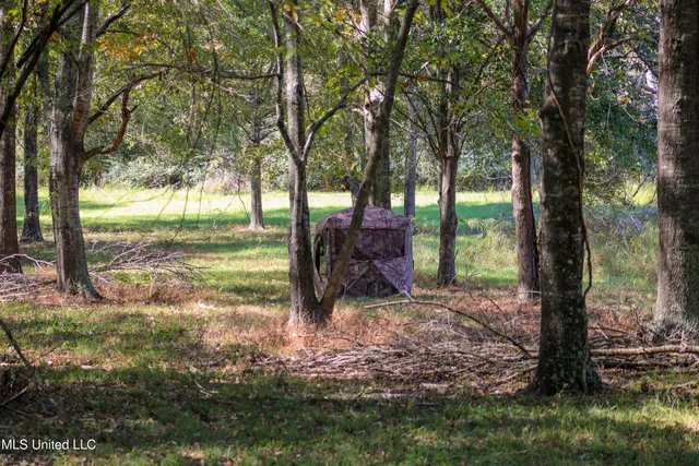 $433,500 | 636 Livingston Vernon Road, Flora, MS 39071