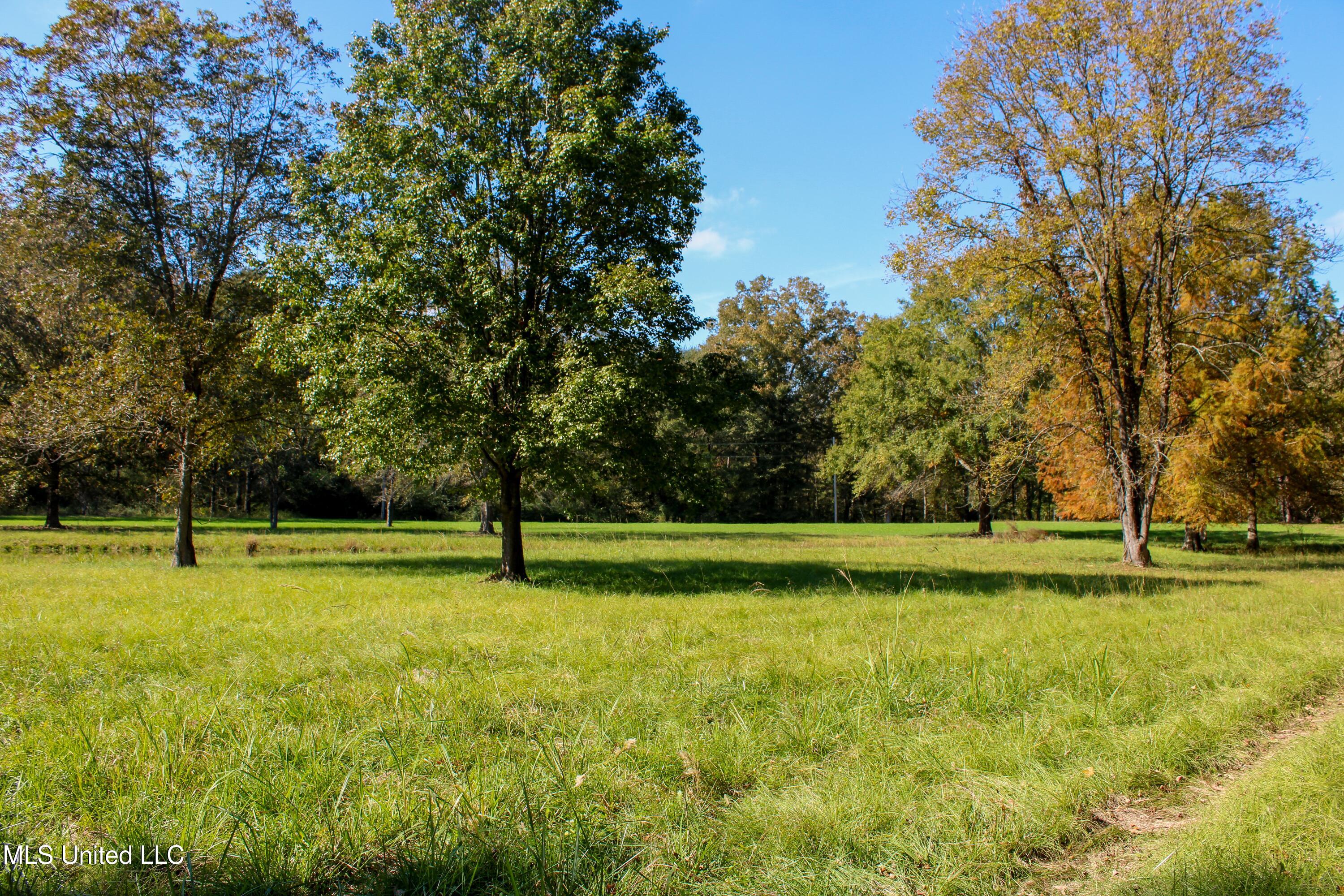 636 Livingston Vernon Road Flora, MS 39071 - Photo 10 of 27 IMG_0768-2
