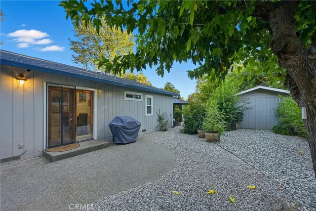 a view of a backyard with potted plants and a large tree