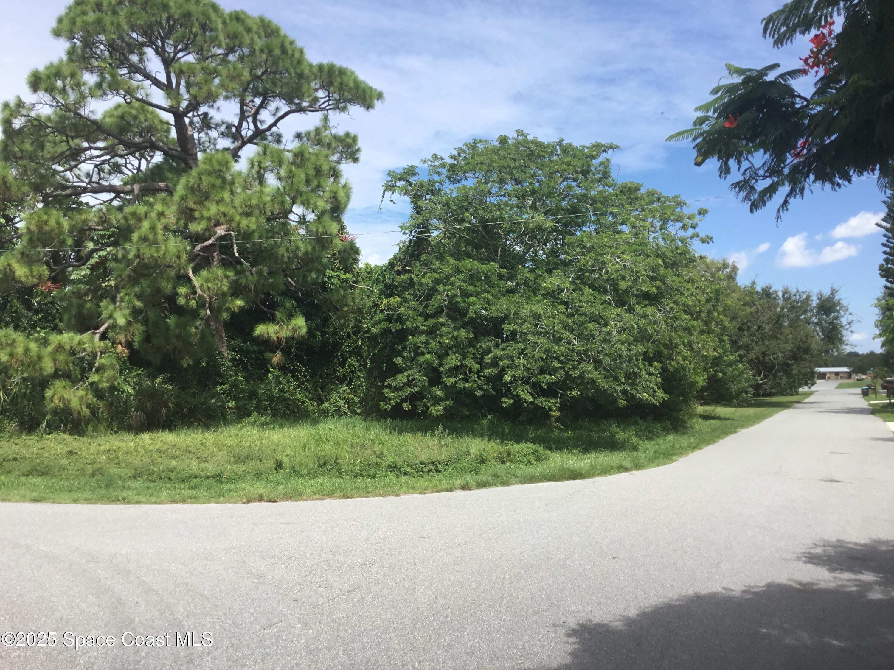 1198 Ver Circle Northeast Palm Bay, FL 32905 - Photo 2 of 11 a view of a garden with a tree