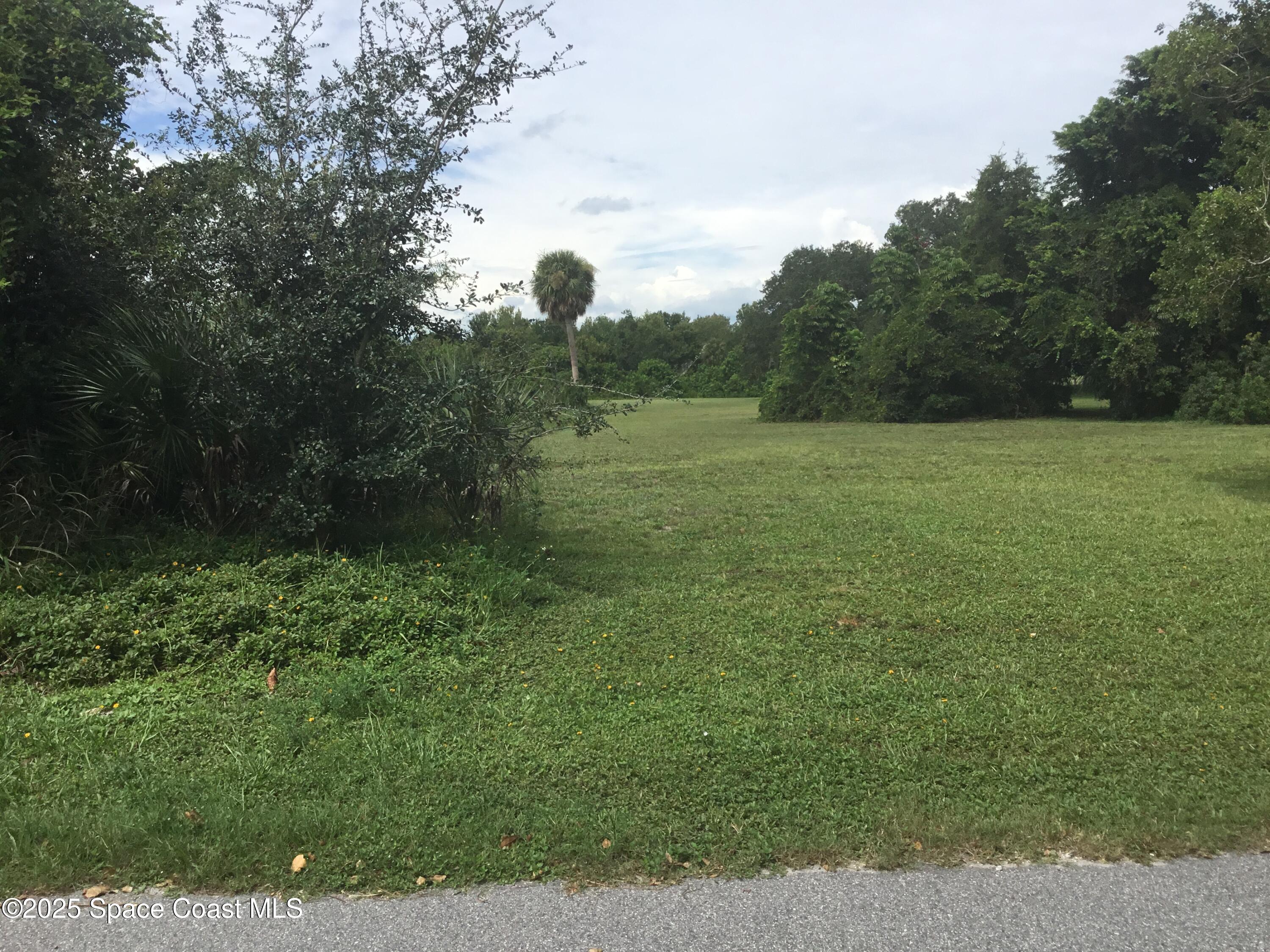 1198 Ver Circle Northeast Palm Bay, FL 32905 - Photo 4 of 11 a view of outdoor space and yard