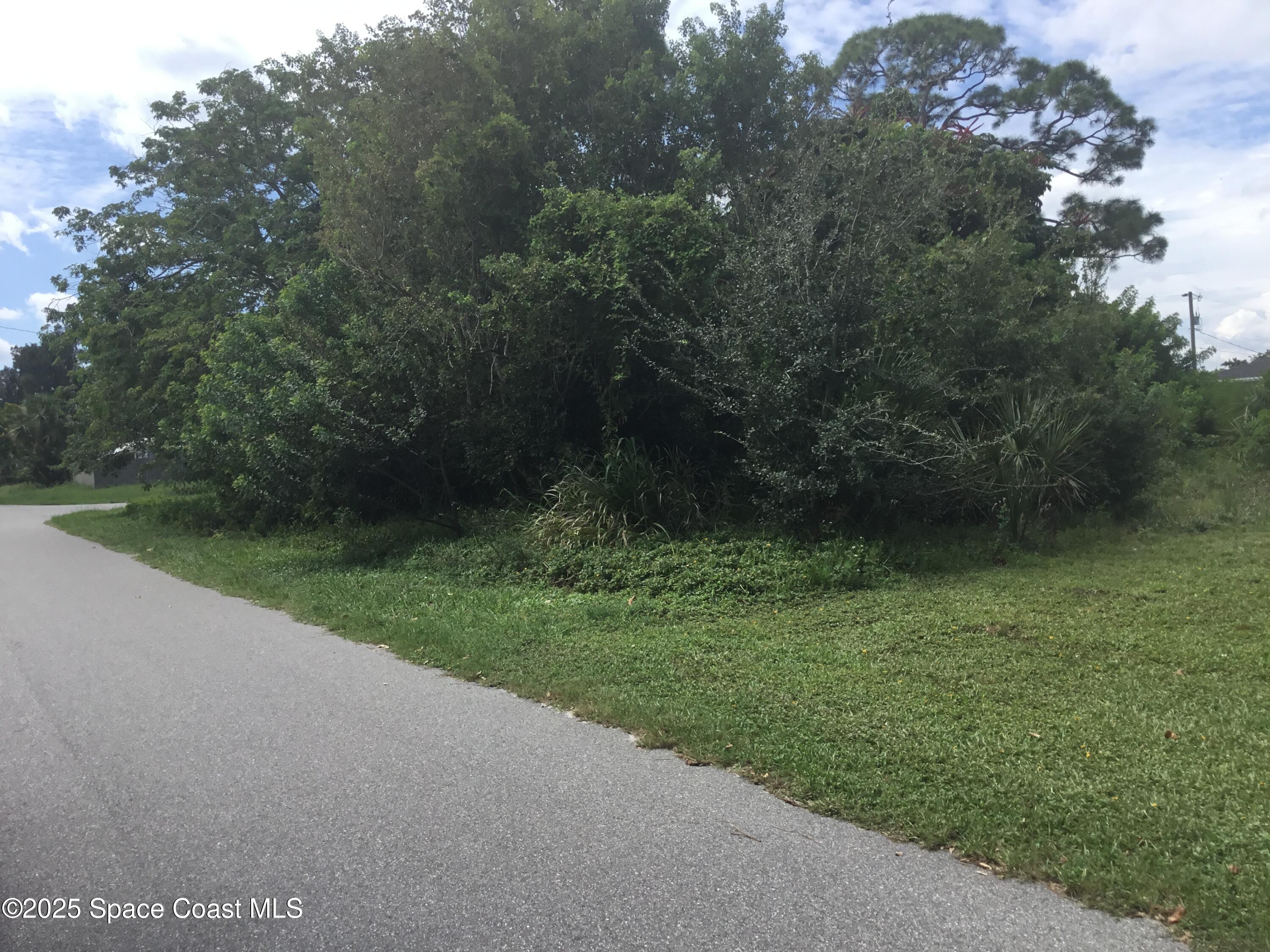 1198 Ver Circle Northeast Palm Bay, FL 32905 - Photo 6 of 11 a view of a lush green space