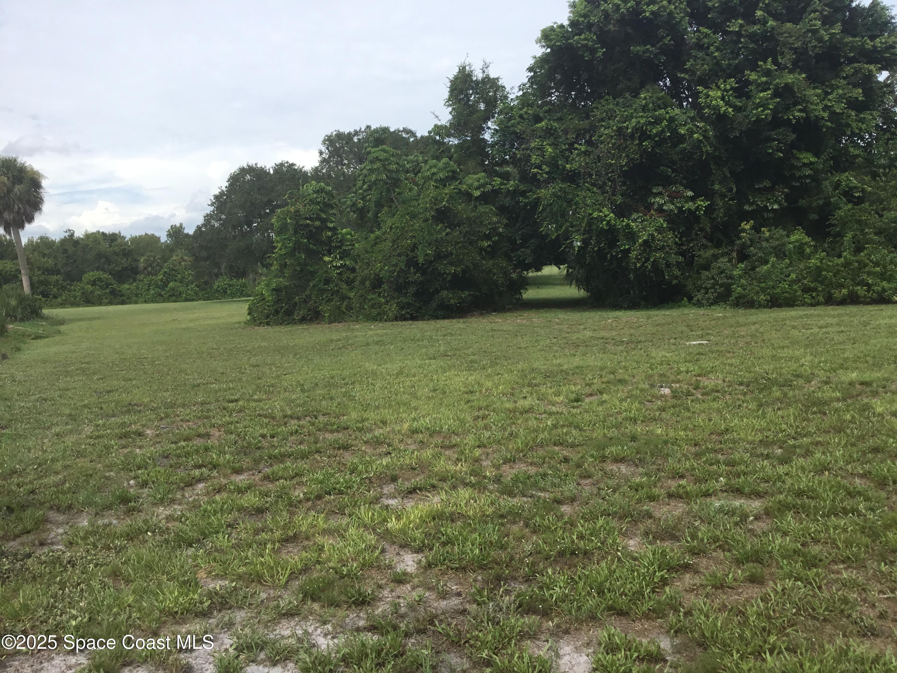 1198 Ver Circle Northeast Palm Bay, FL 32905 - Photo 8 of 11 a view of outdoor space and yard