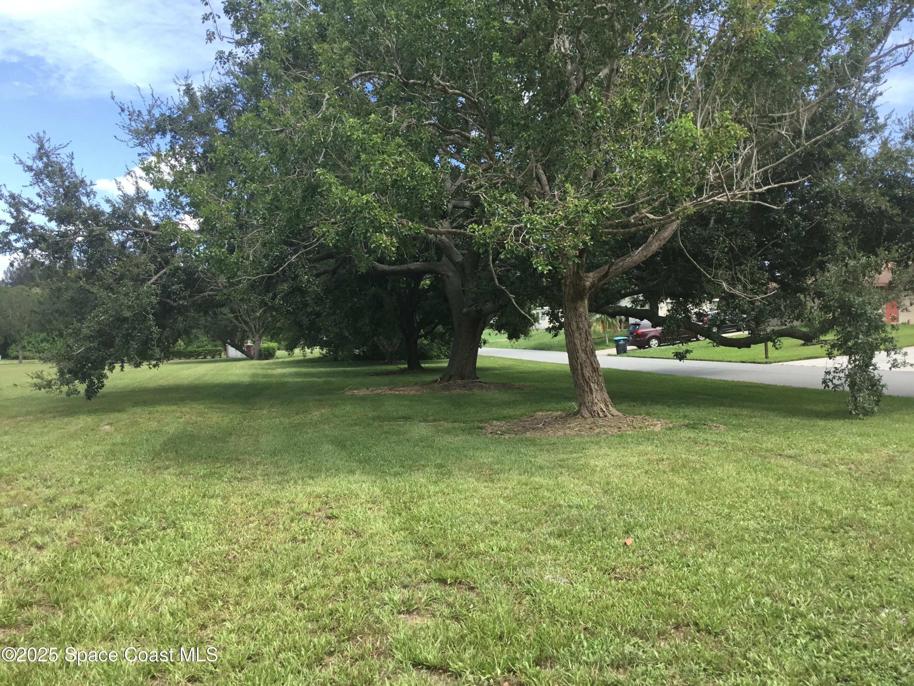 1198 Ver Circle Northeast Palm Bay, FL 32905 - Photo 9 of 11 a view of outdoor space with green field and trees
