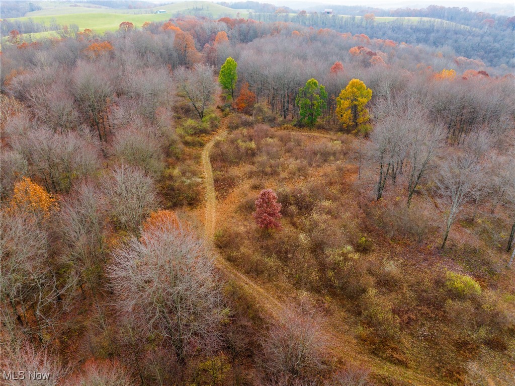 1239 Township Road Dresden, OH 43821 - Photo 46 of 50 Aerial view of a heavily wooded area