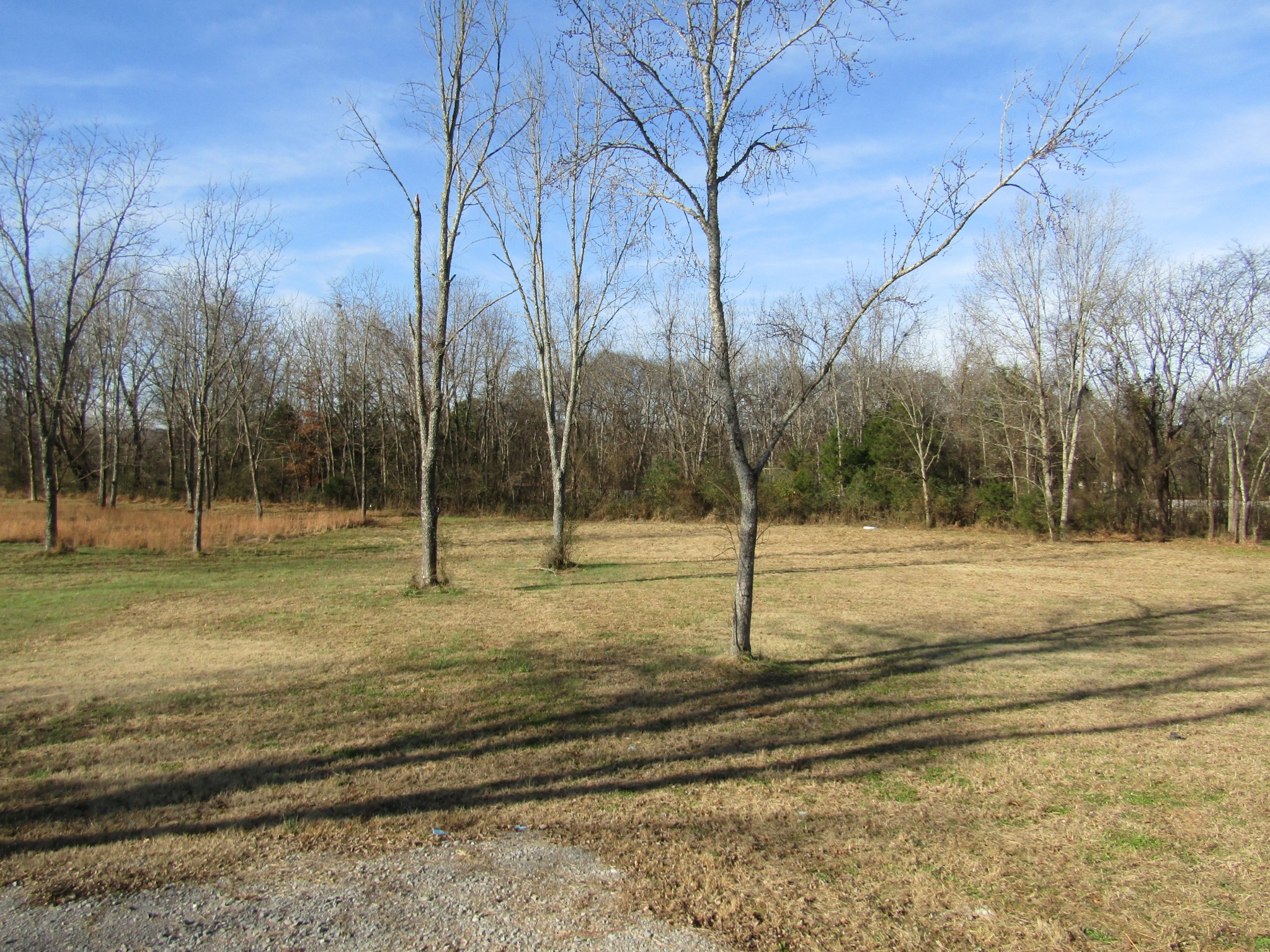 308 Ostella Road Cornersville, TN 37047 - Photo 4 of 19 a view of a park