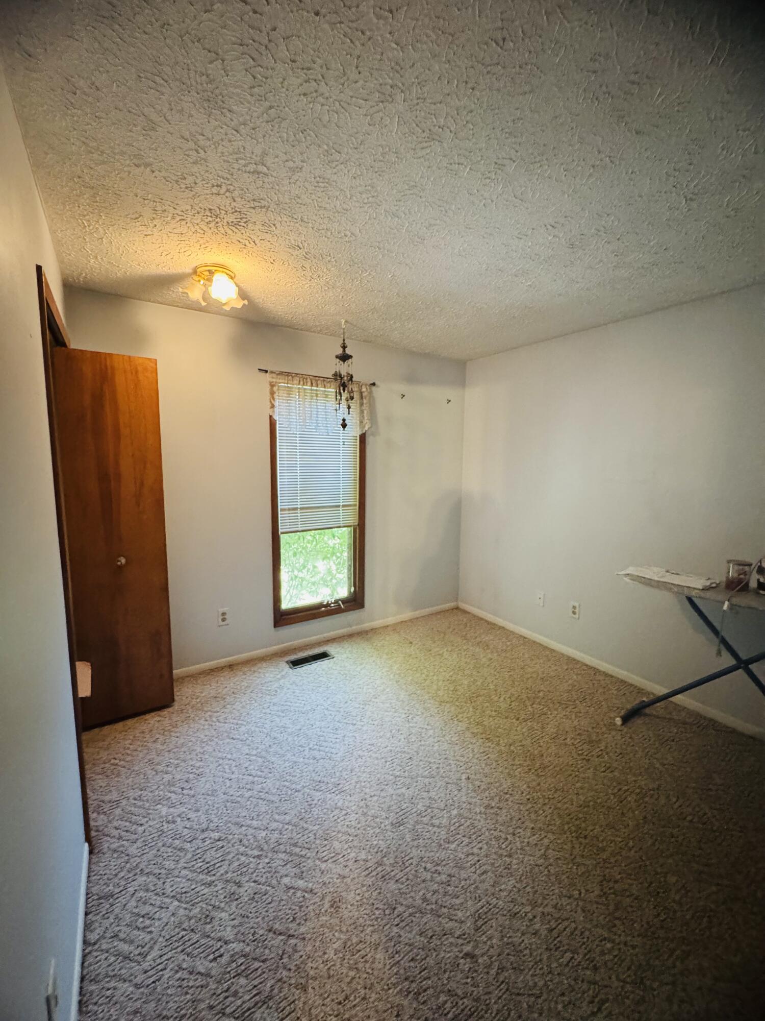 3726 Ruth Avenue Lansing, MI 48910 - Photo 21 of 44 IMG_1305