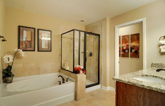 1406 Old Stone Road, Unit 443 Lebanon, TN 37087 - Photo 12 of 24 a bathroom with a granite countertop tub sink and mirror