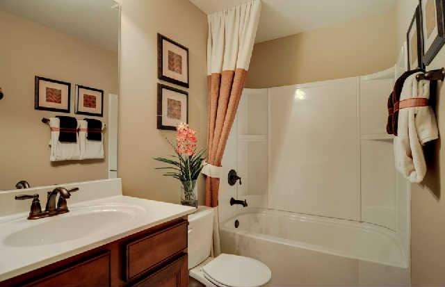 1406 Old Stone Road, Unit 443 Lebanon, TN 37087 - Photo 18 of 24 a bathroom with a sink toilet and shower