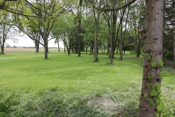 $72,500 | 632 Thorpe Road, Sabina, OH 45169