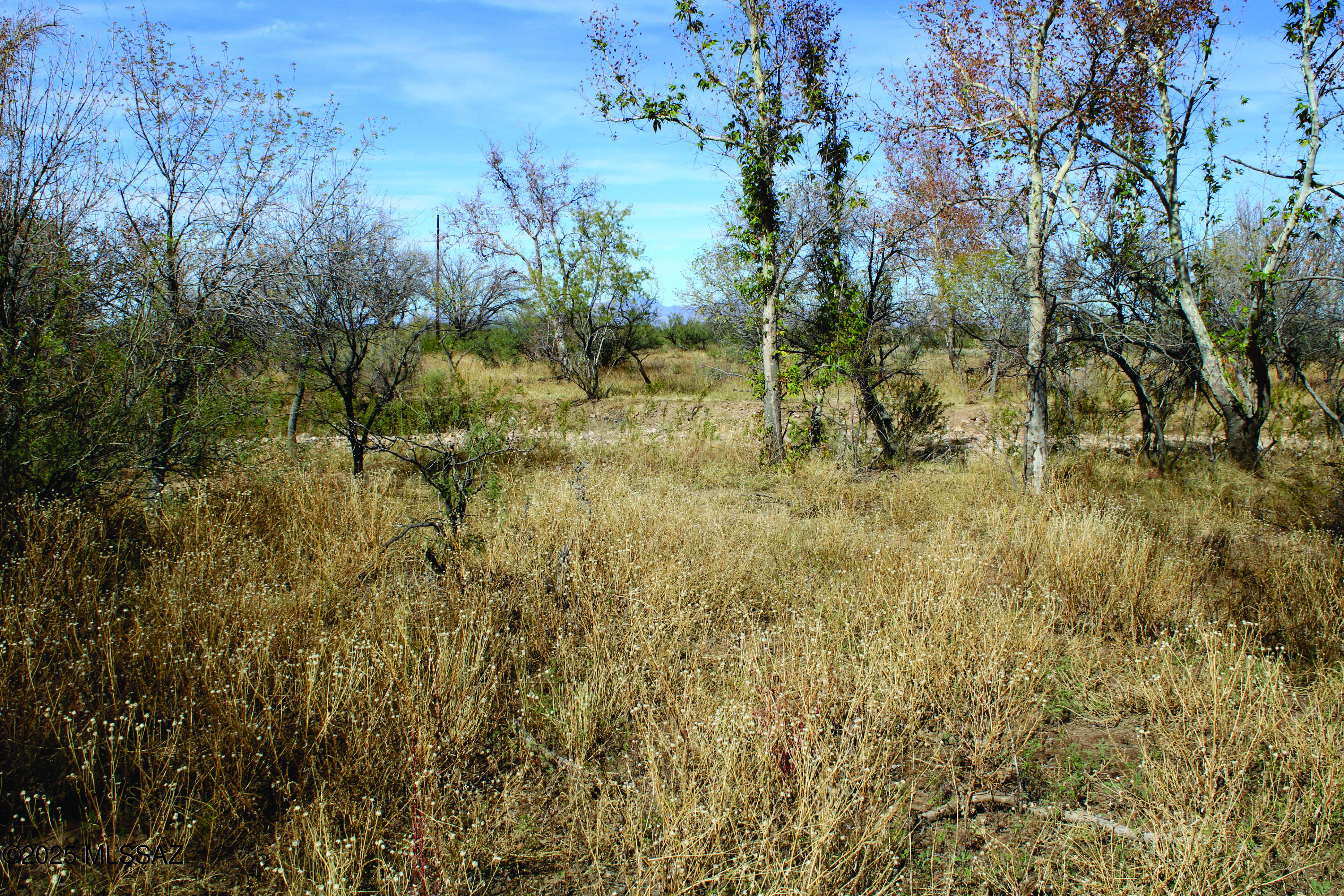 10-acres East Roadrunner Road, Unit D Pearce, AZ 85625 - Photo 3 of 24 a view of a yard