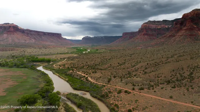 a view of a backyard with a garden