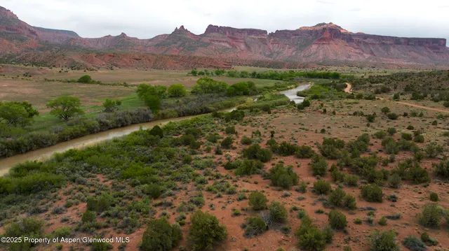 a living room with furniture a fireplace and wooden floor