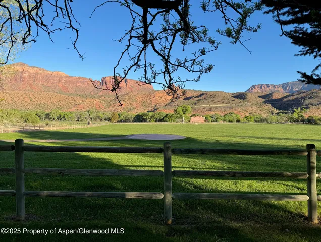 a view of a trees in a yard with large trees