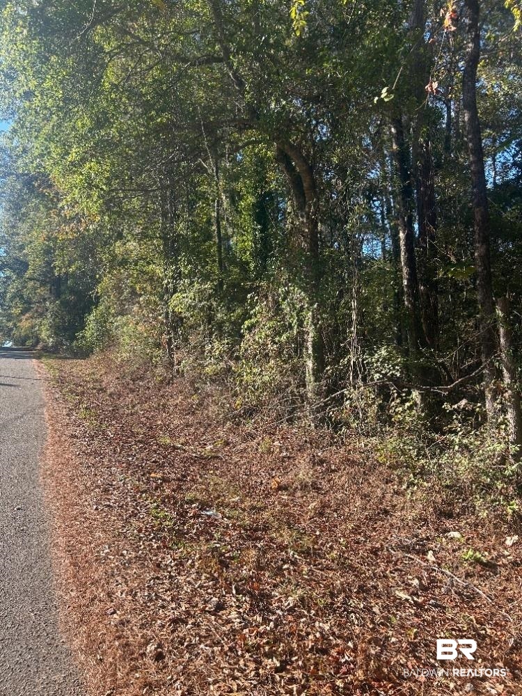 0 Lee Street Castleberry, AL 36432 - Photo 1 of 1 Gallery Image 1