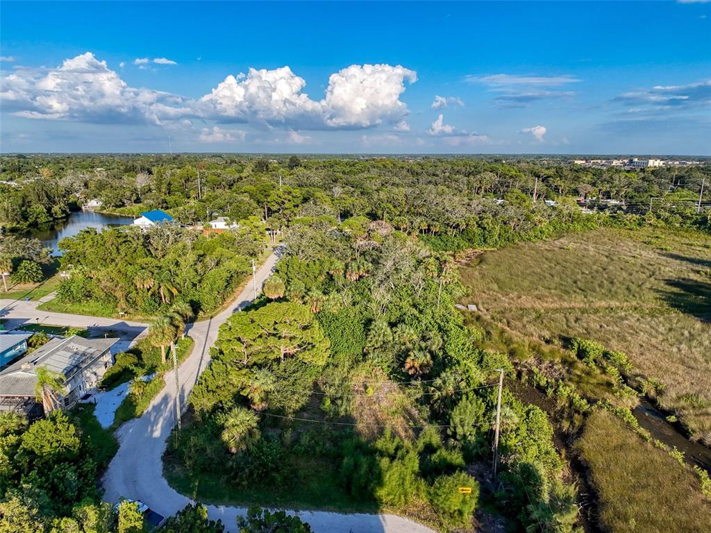 12 Nowiki Avenue Hudson, FL 34667 - Photo 15 of 20 a view of a yard