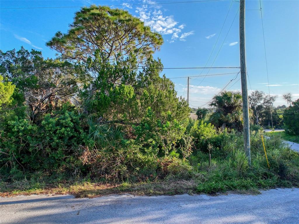 12 Nowiki Avenue Hudson, FL 34667 - Photo 17 of 20
