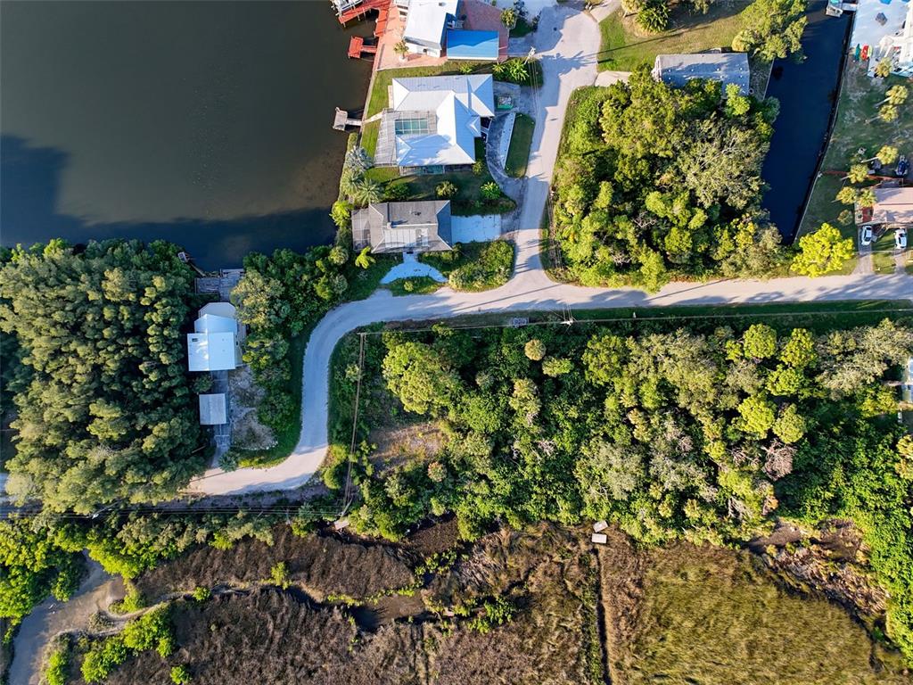 12 Nowiki Avenue Hudson, FL 34667 - Photo 2 of 20 an outdoor view of garden with flowers
