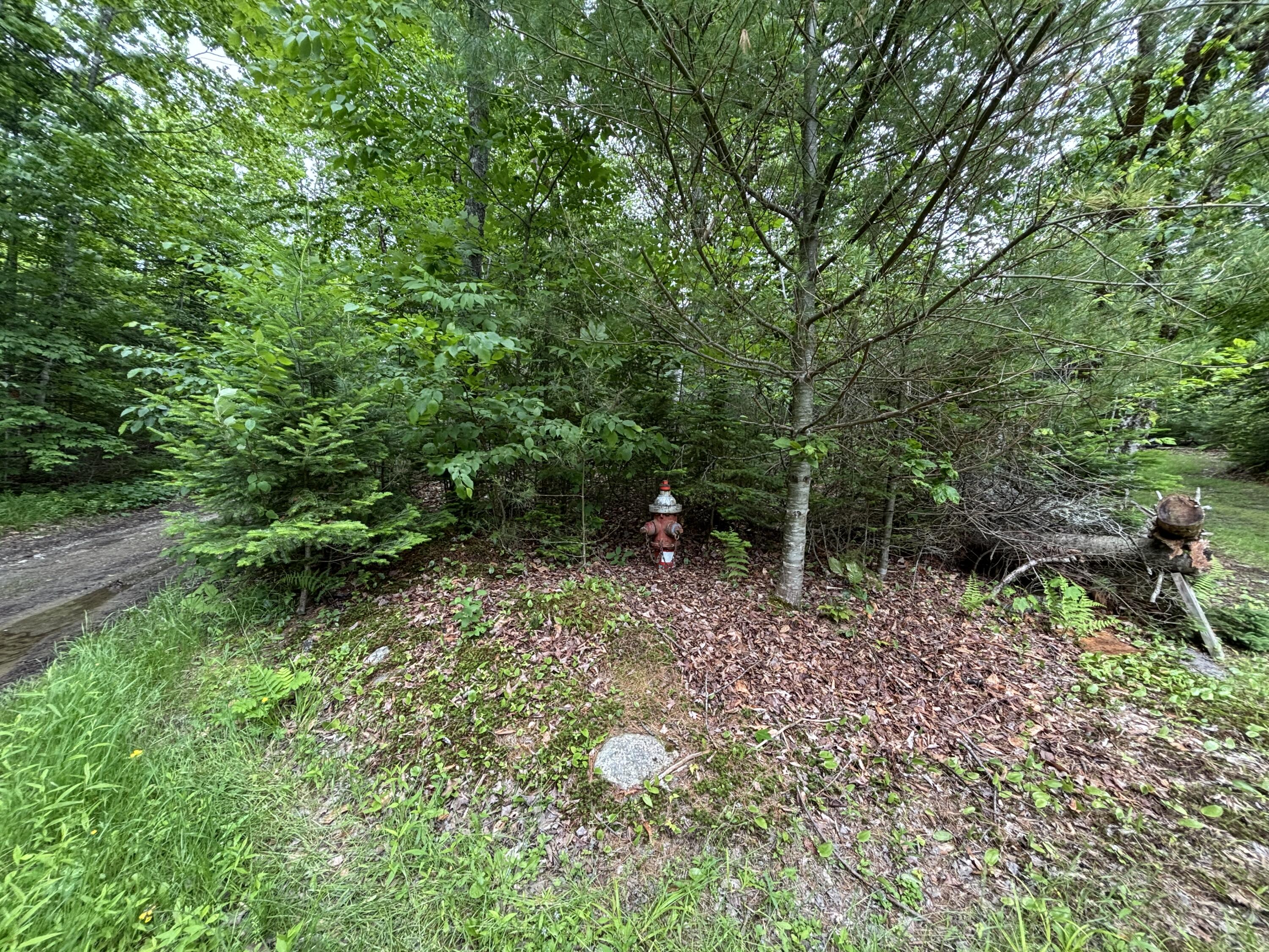 699 Charleston Road Dexter, ME 04930 - Photo 33 of 33 Decorative Fire Hydrant