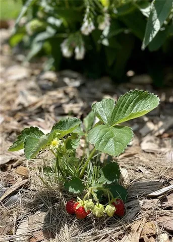 $449,900 | 48451 Club Road, Milan, MO 63556