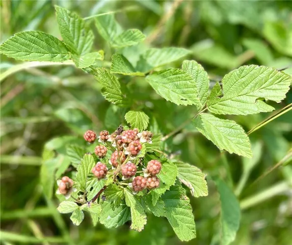 $449,900 | 48451 Club Road, Milan, MO 63556