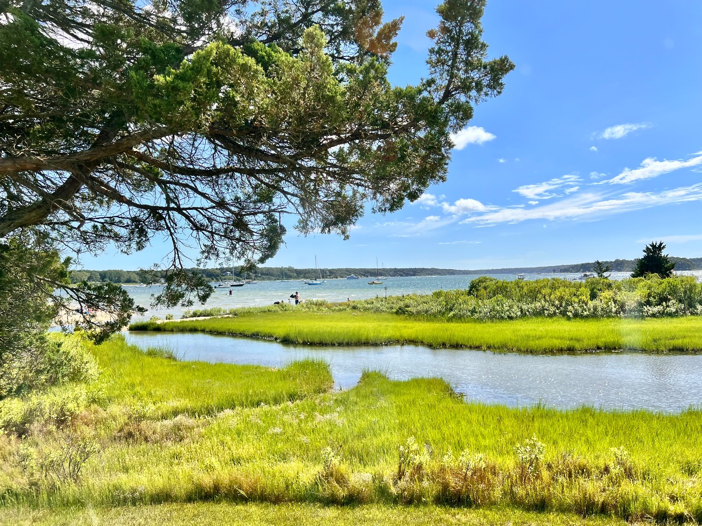 45 Windemere Road Oak Bluffs, MA 02557 - Photo 15 of 89 View from sun room