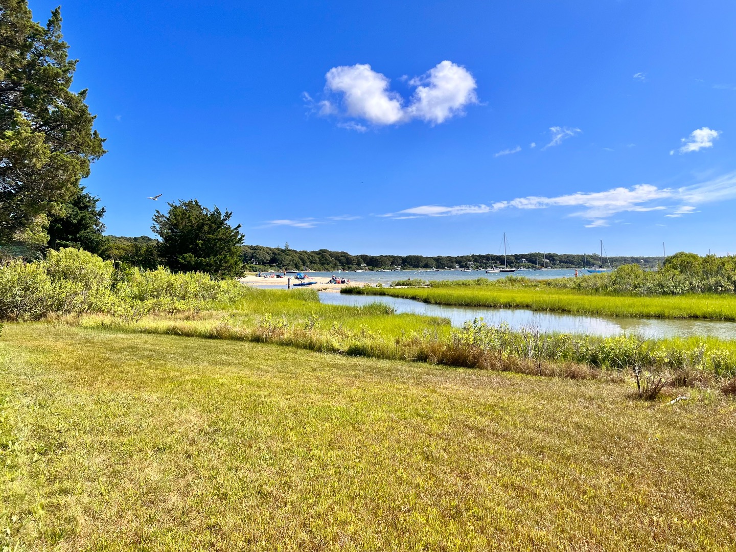 45 Windemere Road Oak Bluffs, MA 02557 - Photo 72 of 89 View