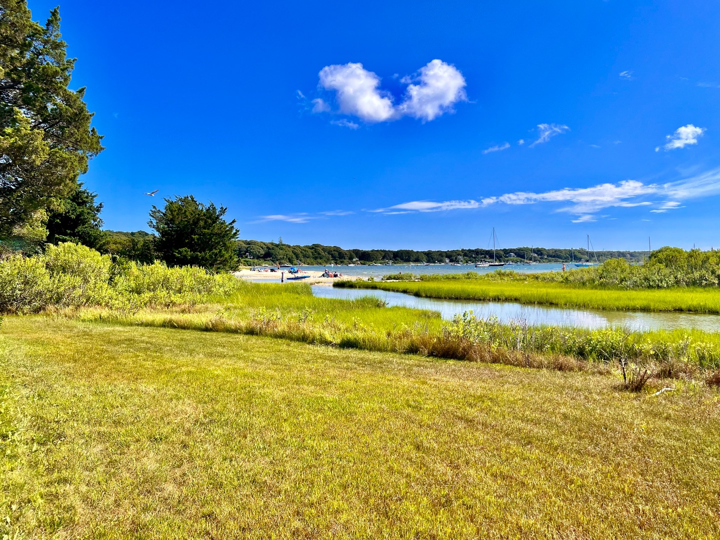 45 Windemere Road Oak Bluffs, MA 02557 - Photo 75 of 89 View