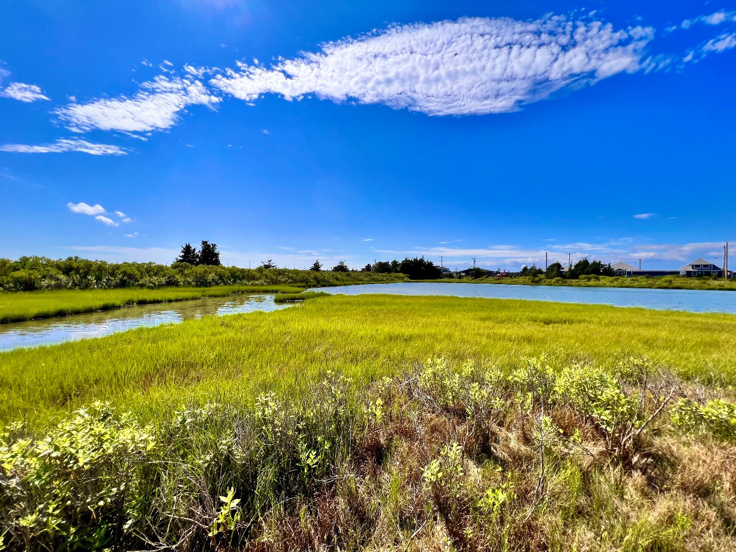 45 Windemere Road Oak Bluffs, MA 02557 - Photo 78 of 89 Pond