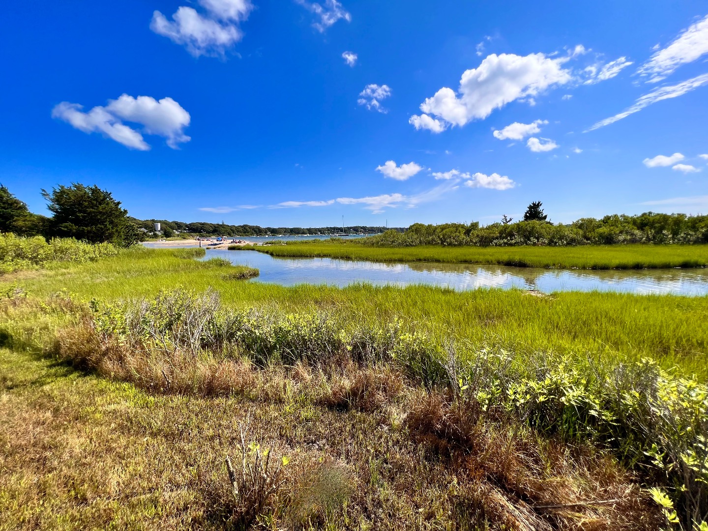 45 Windemere Road Oak Bluffs, MA 02557 - Photo 79 of 89 Pond