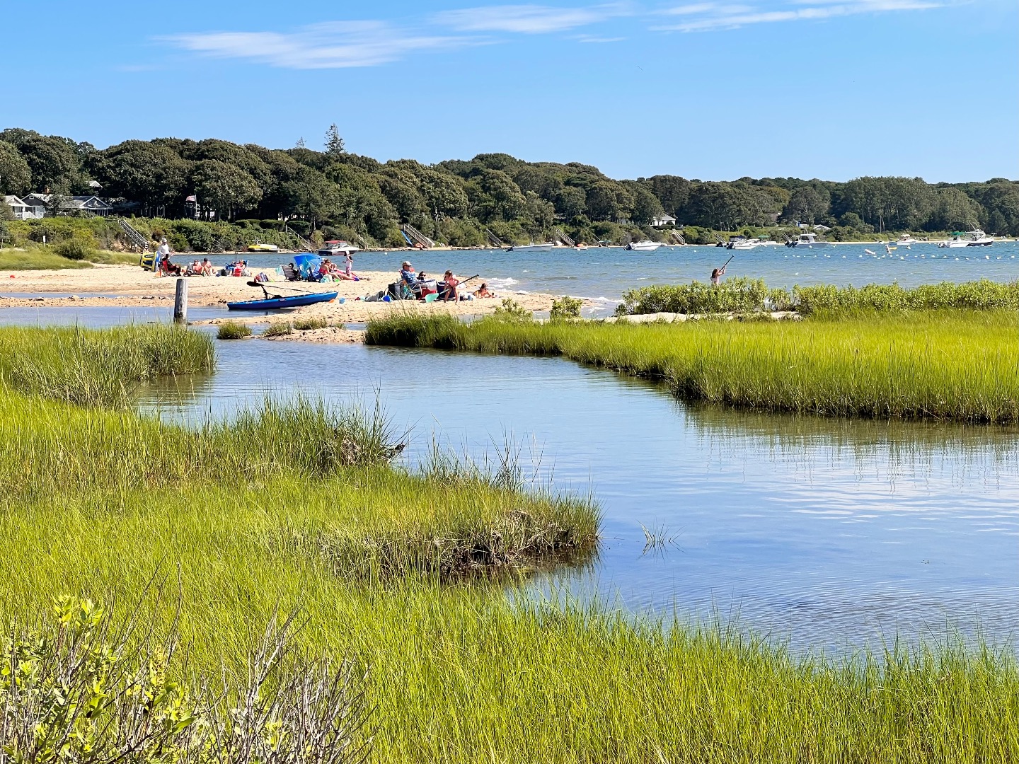 45 Windemere Road Oak Bluffs, MA 02557 - Photo 80 of 89 Pond to Land Bank Beach