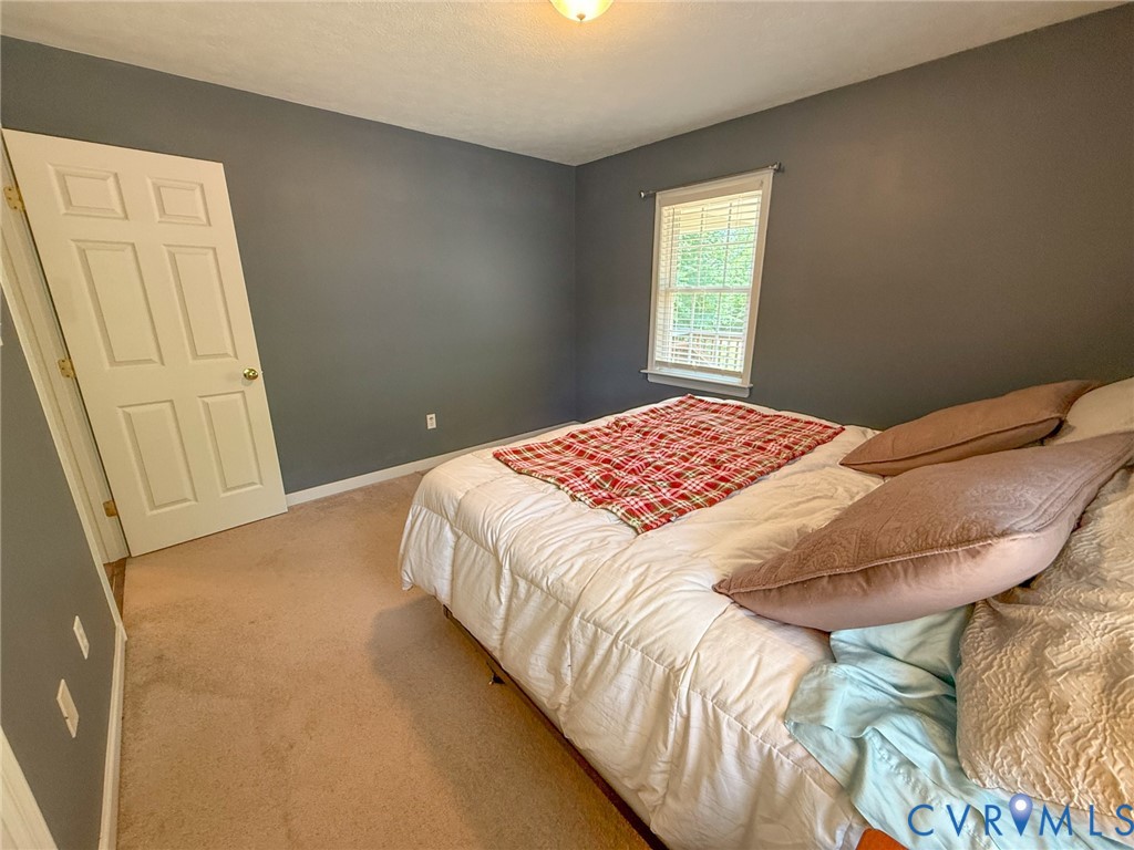 2293 Turkey Island Road Crewe, VA 23930 - Photo 20 of 36