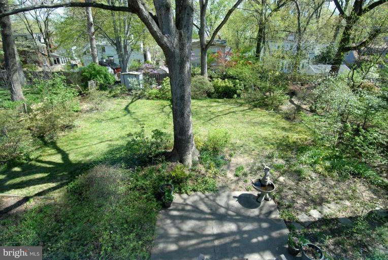 8907 Flower Avenue Silver Spring, MD 20901 - Photo 2 of 25 Back yard