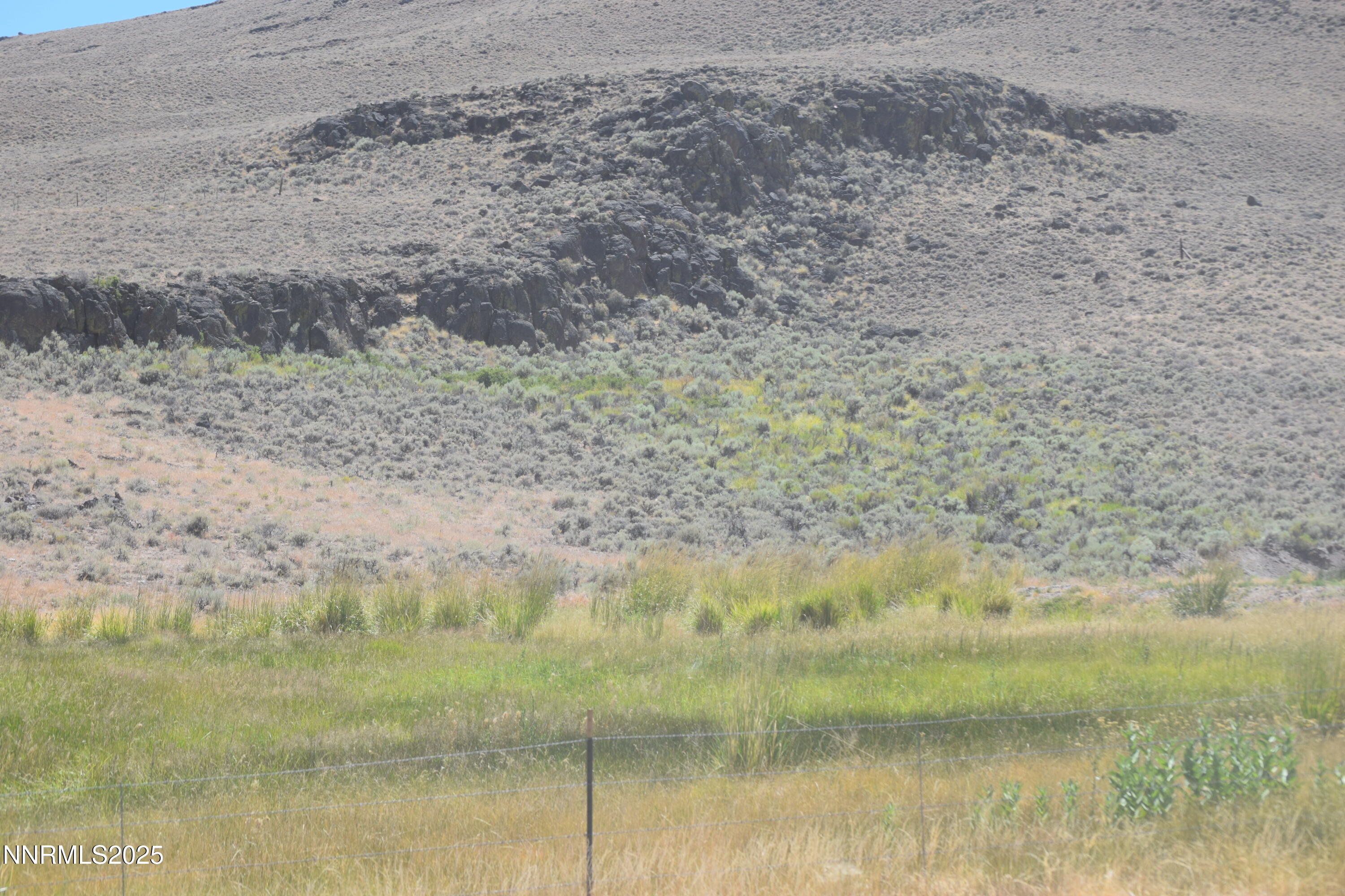 3306 High Rock Road Reno, NV 89510 - Photo 16 of 43 a view of a dry yard with trees